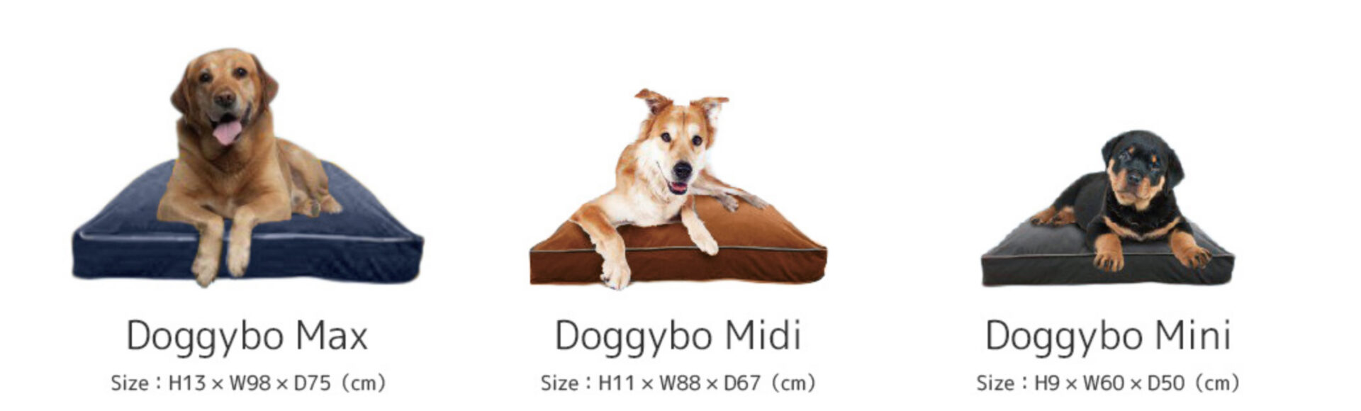 愛犬用ヨギボー「ドギボー（Doggybo）」の口コミは？サイズや注意点を